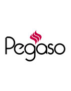 Pièces détachées d'origine pour Poêles à granulés Pegaso de la marque Pegaso